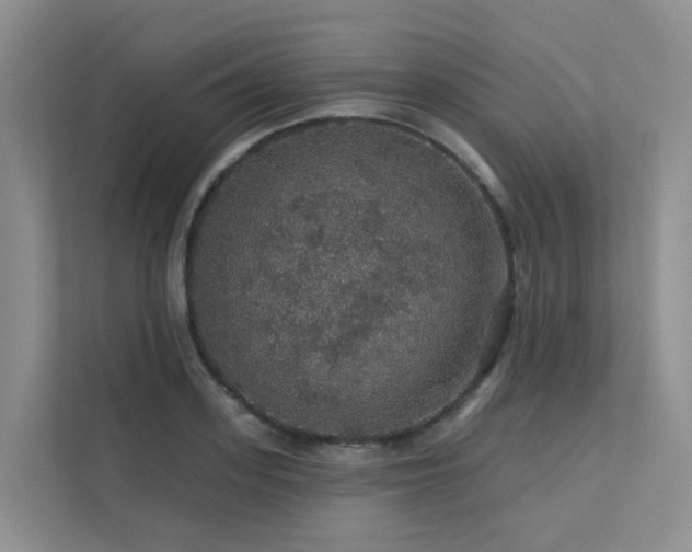 X0000112160939200908071135