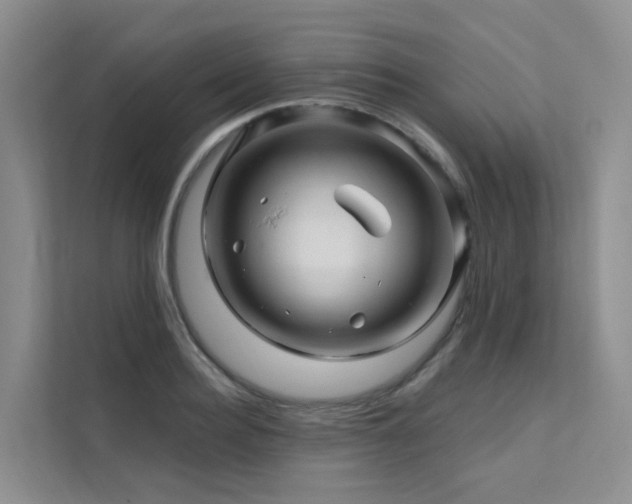X0000112160940200908071135