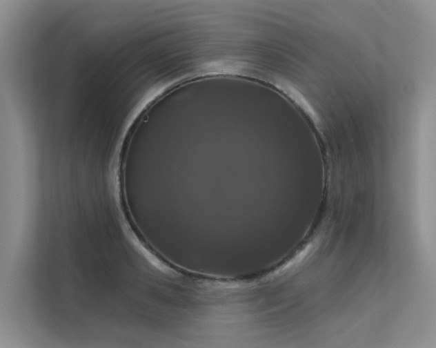 X0000112160941200908071135