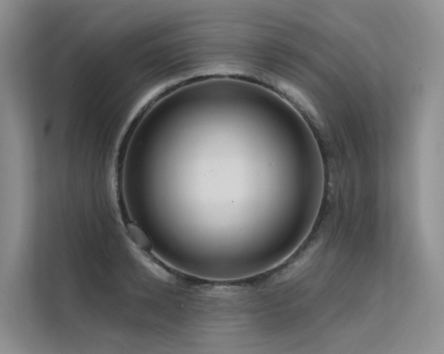 X0000112160942200908071135