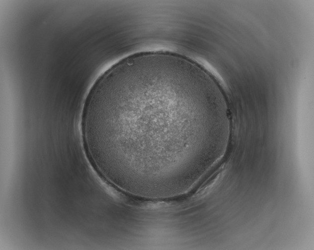 X0000112160943200908071135