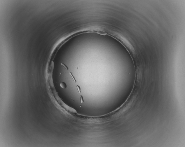 X0000112160944200908071135