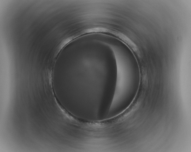X0000112160945200908071135