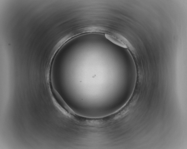 X0000112160946200908071135