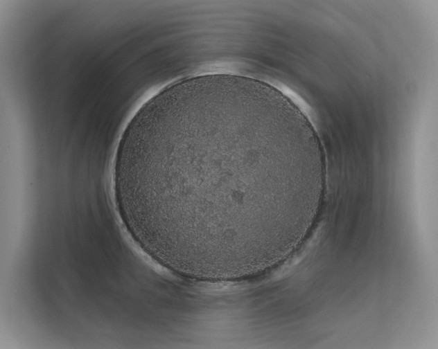 X0000112160949200908071135