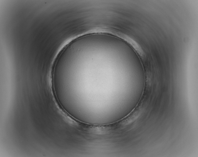 X0000112160950200908071135