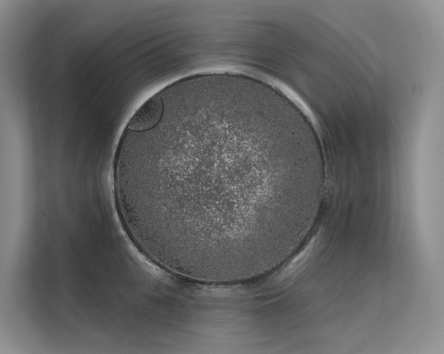 X0000112160951200908071135