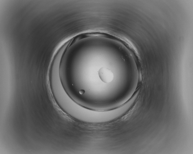X0000112160952200908071135
