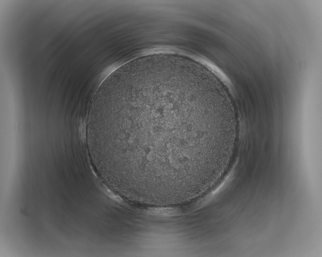 X0000112160953200908071135