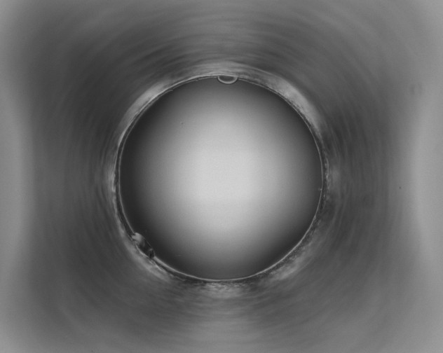 X0000112160954200908071135