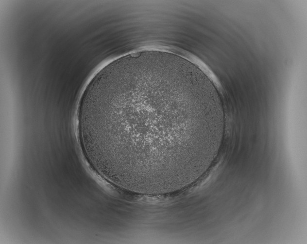 X0000112160955200908071135