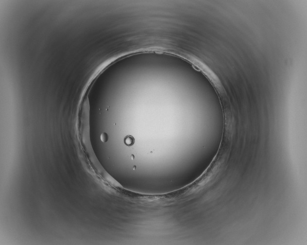X0000112160956200908071135