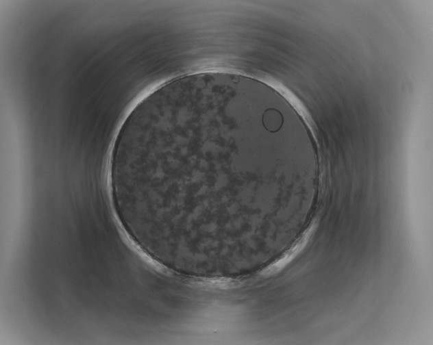 X0000112160957200908071135