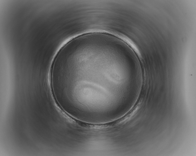 X0000112160958200908071135