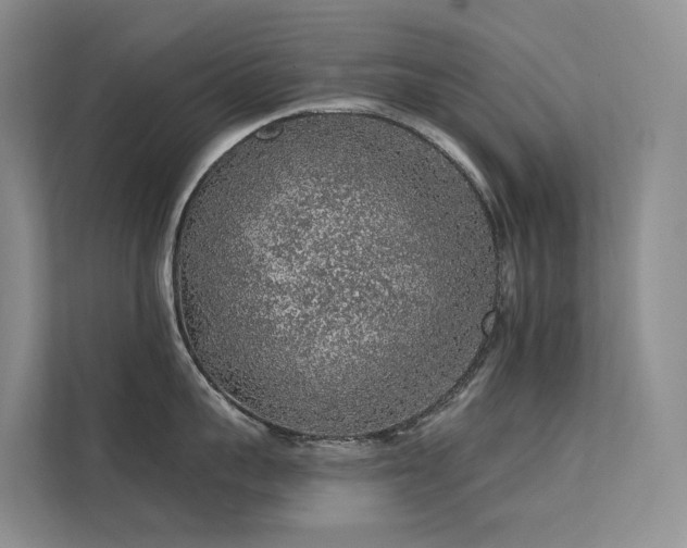 X0000112160959200908071135