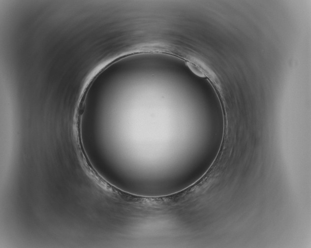 X0000112160960200908071135