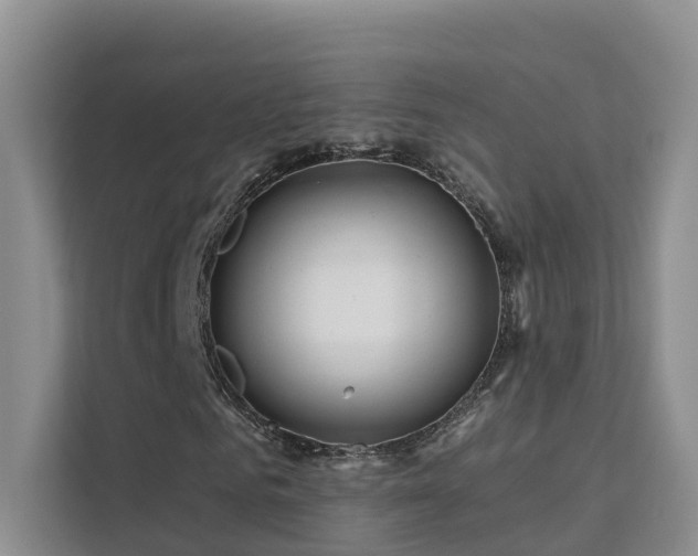 X0000112160961200908071135