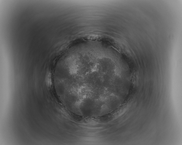 X0000112160962200908071135