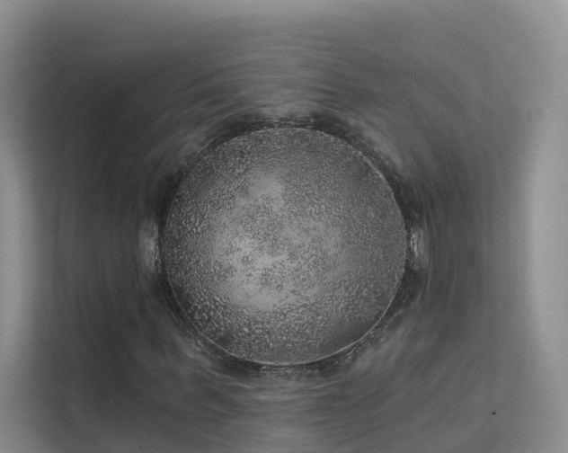 X0000112160963200908071135