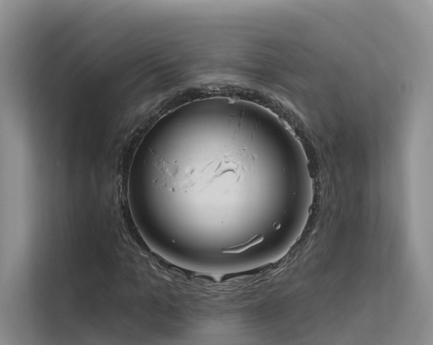 X0000112160965200908071135