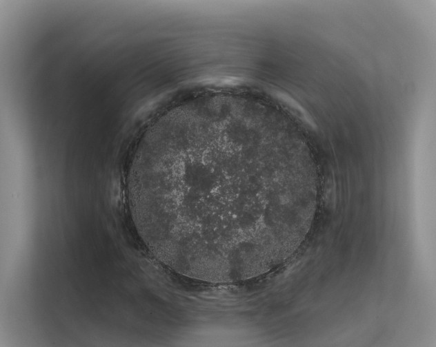 X0000112160966200908071135