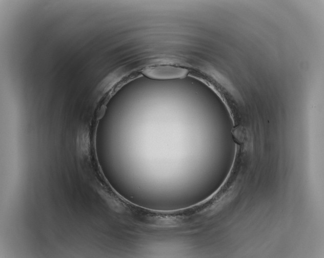 X0000112160969200908071135