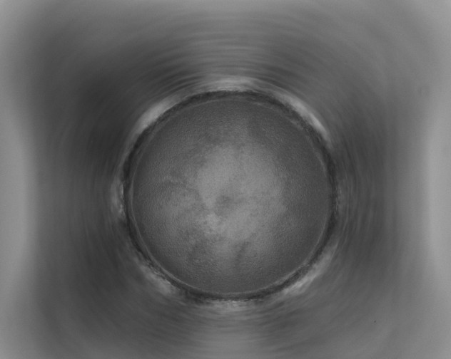 X0000112160970200908071135