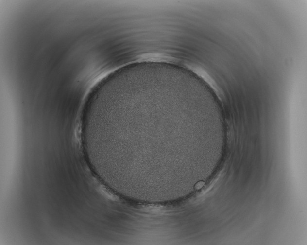 X0000112160971200908071135