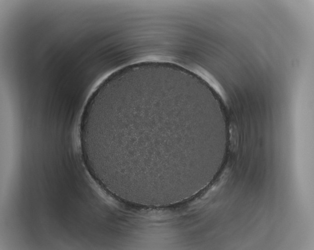 X0000112160972200908071135