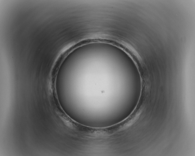 X0000112160974200908071135