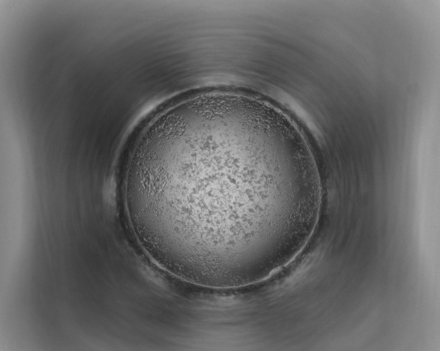 X0000112160975200908071135