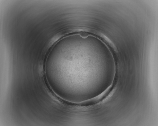 X0000112160977200908071135