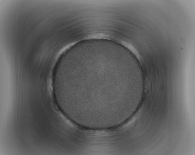 X0000112160979200908071135