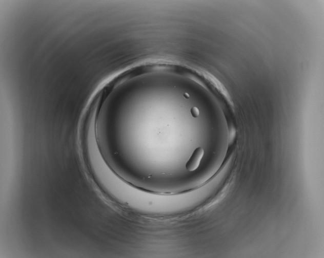 X0000112160981200908071135