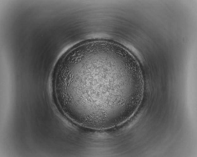 X0000112160983200908071135