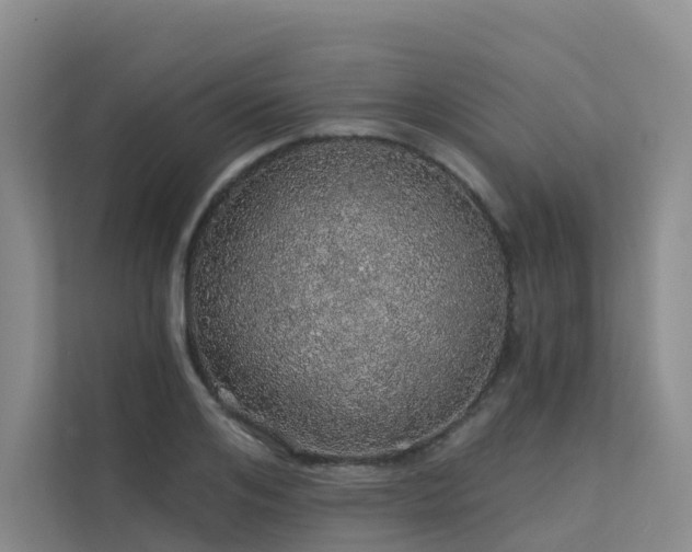 X0000112160984200908071134