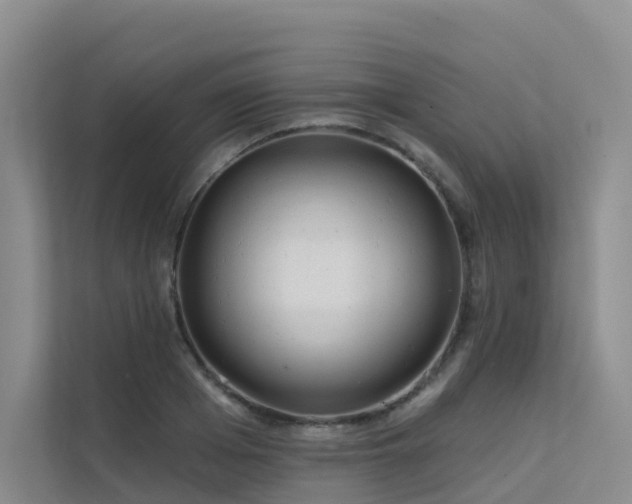 X0000112160985200908071134
