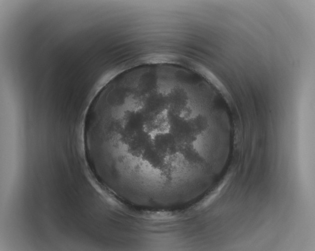 X0000112160986200908071134