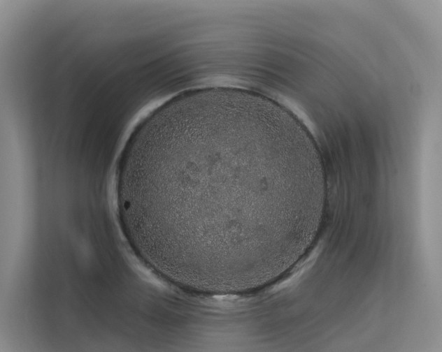X0000112160987200908071134