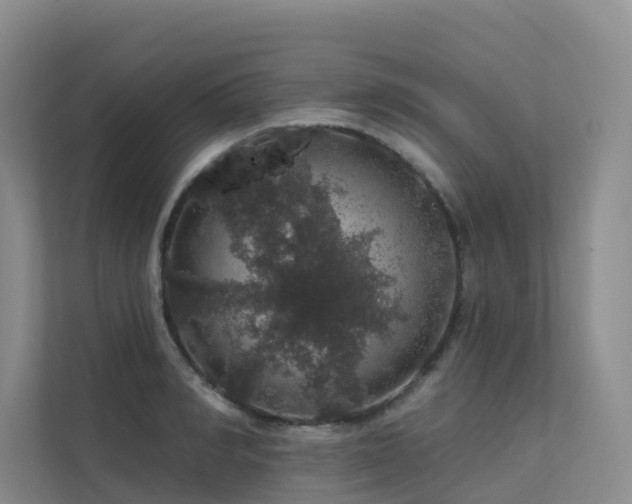X0000112160990200908071134