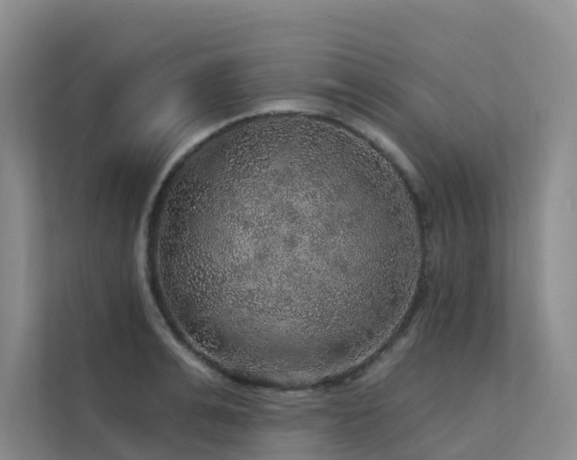 X0000112160991200908071134