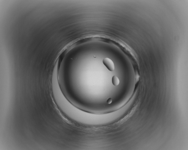 X0000112160993200908071134
