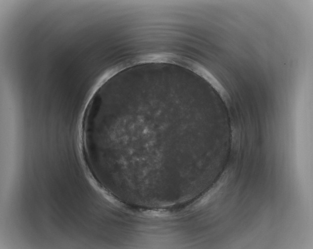 X0000112160994200908071134
