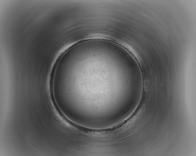X0000112160995200908071134