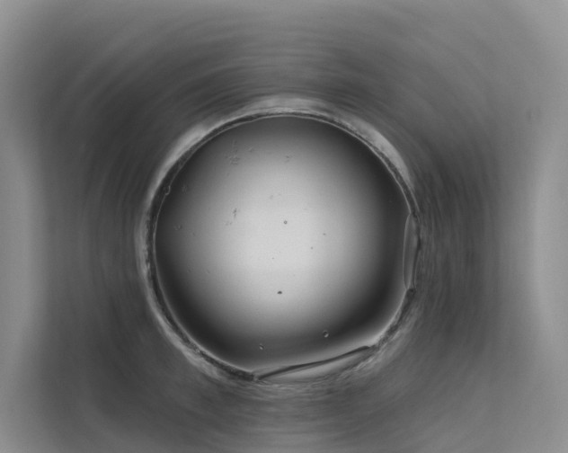 X0000112160997200908071134