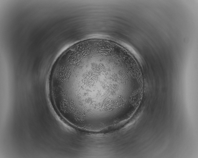 X0000112160999200908071134