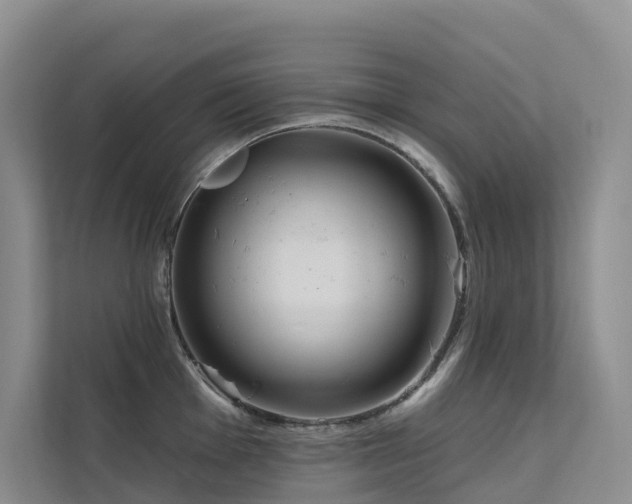 X0000112161001200908071134
