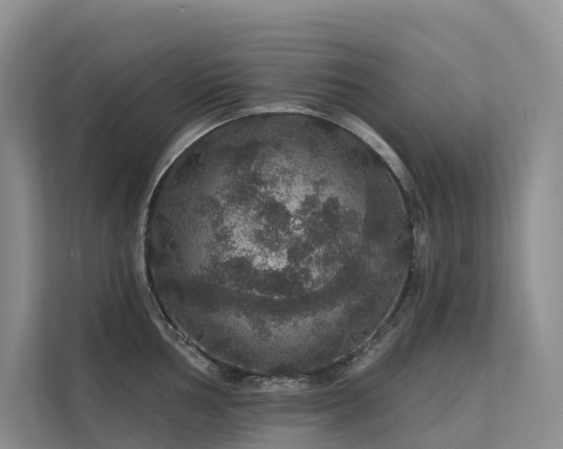 X0000112161002200908071134
