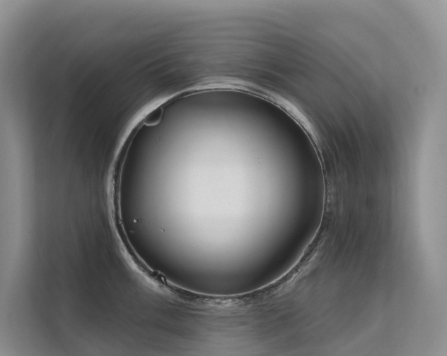 X0000112161003200908071134