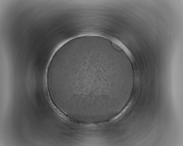 X0000112161004200908071134